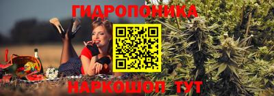 стаф Абакан