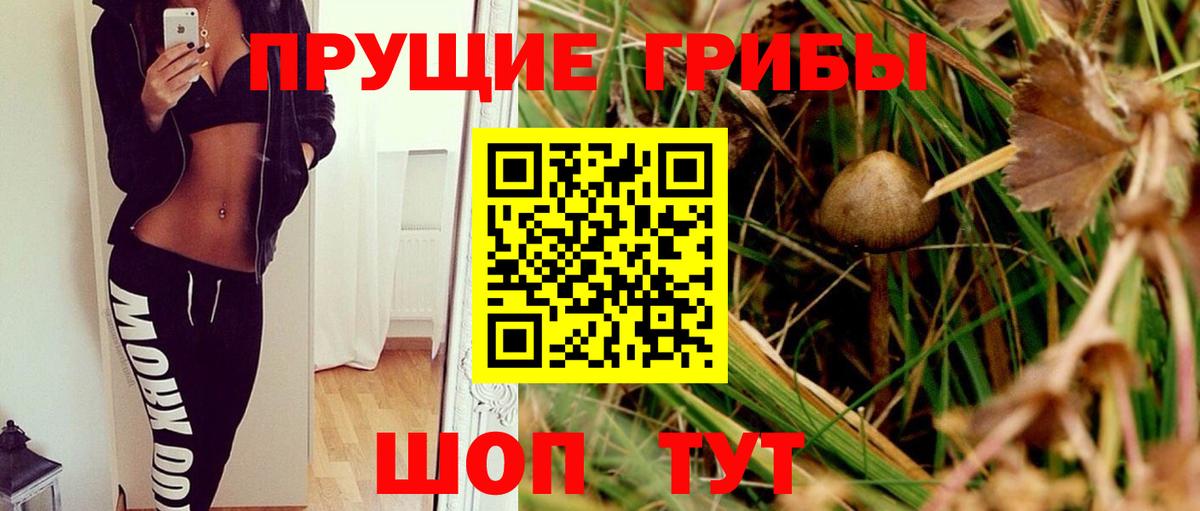 Галлюциногенные грибы GOLDEN TEACHER  Вход с VPN  Ачхой-Мартан 